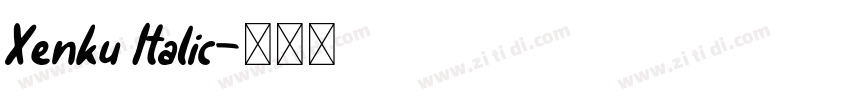 Xenku Italic字体转换